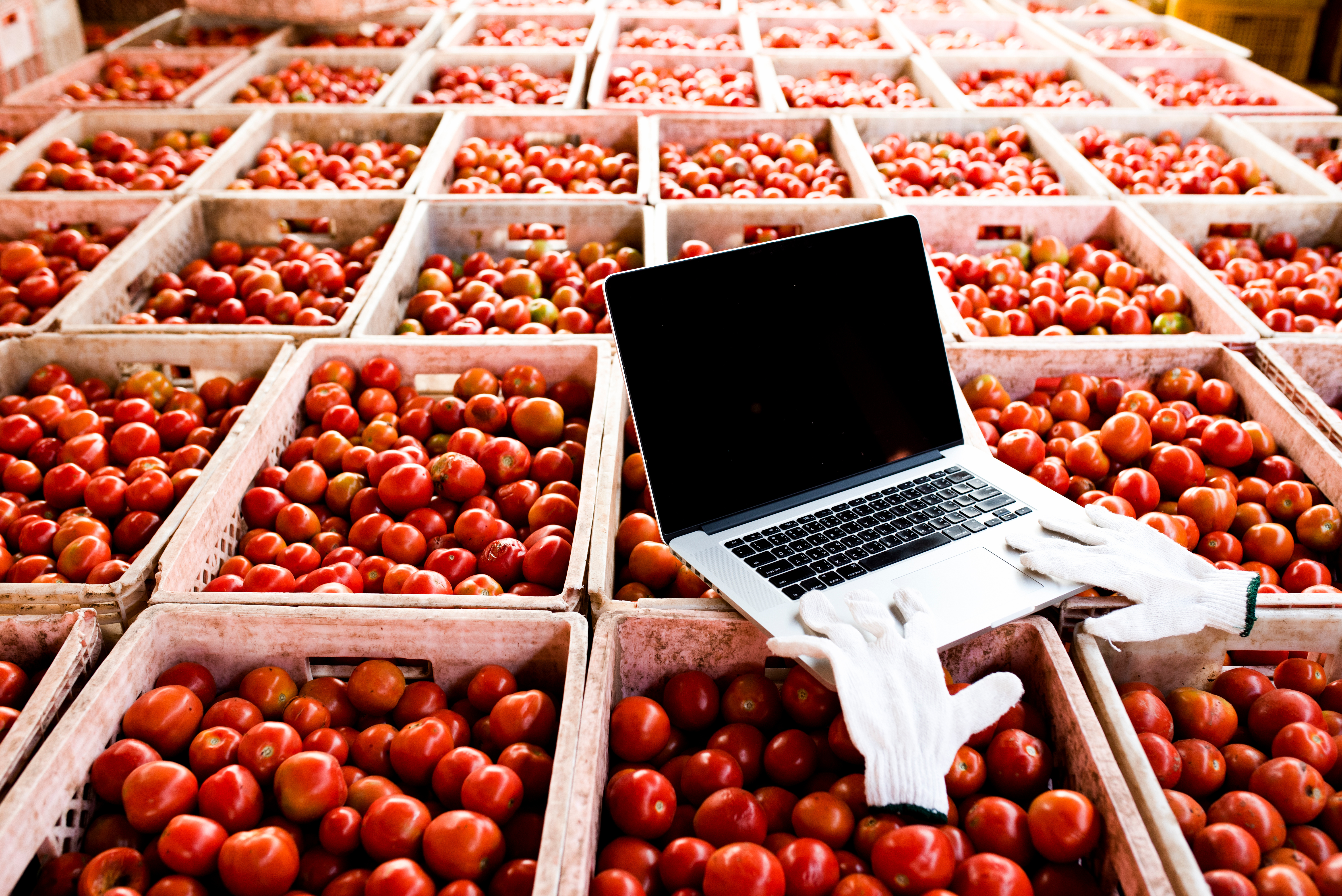 Account